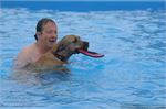 Honden zwemmen (13)